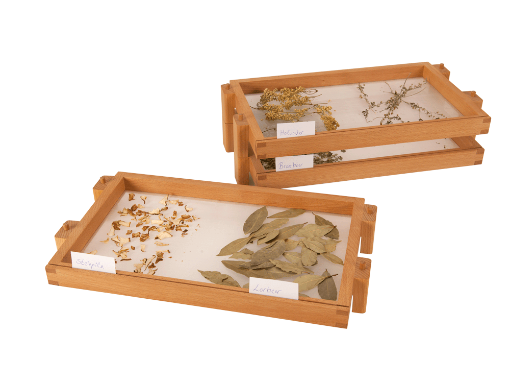 Kräutertrockner aus Buchenholz für Fensterbank | Grüne Erde