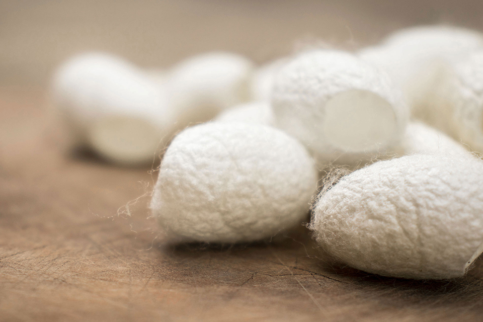 Seidenkokons liegen aufeinander