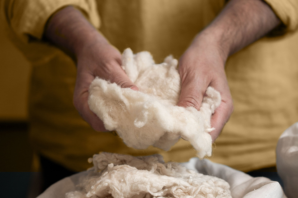 zwei Hände, die Schurwolle bearbeiten