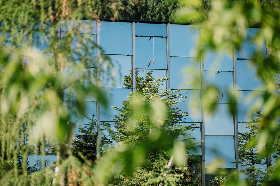 Spiegelnde Glasfassade mit umgebender Natur und unscharfen Pflanzen im Vordergrund