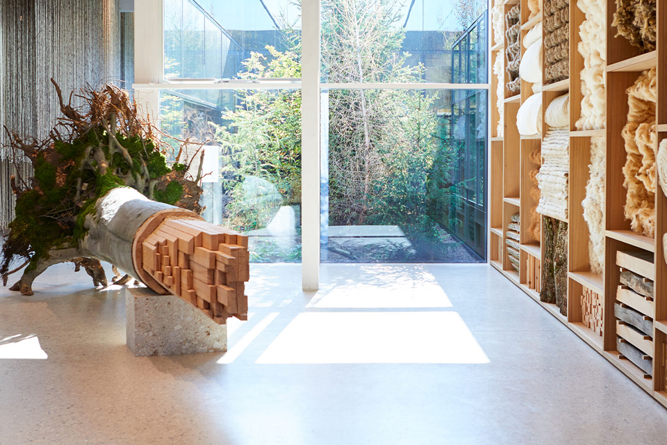 Eingangsbereich der Grünen Erde Welt mit dekorativem Baumstumpf