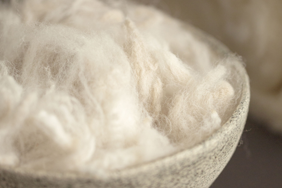 Nahaufnahme von Schafschurwolle in einer Schüssel