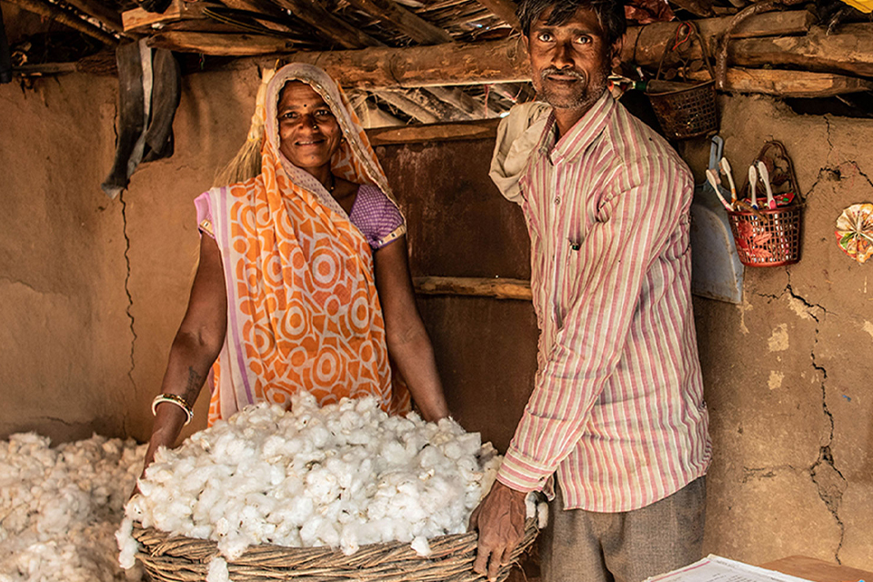 Ein Mann und eine Frau halten einen Korb mit Baumwollblüten