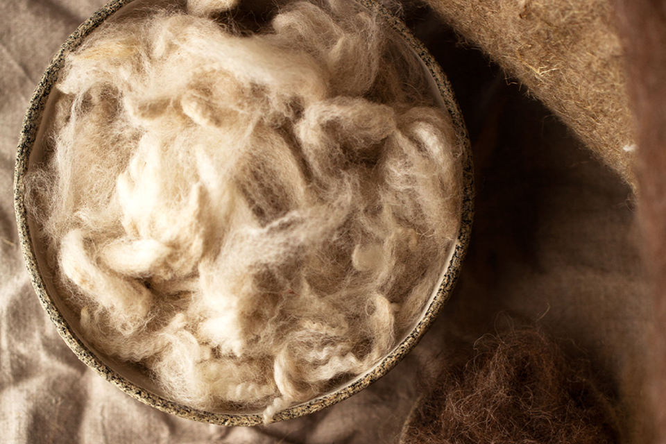 Schafschurwolle in einer Schüssel