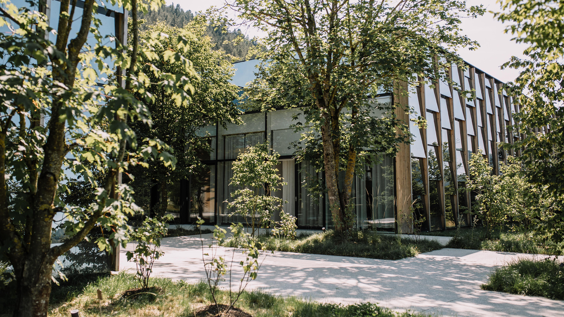 Eingangsbereich der Grüne Erde Welt mit bäumen und grünen Wiesen