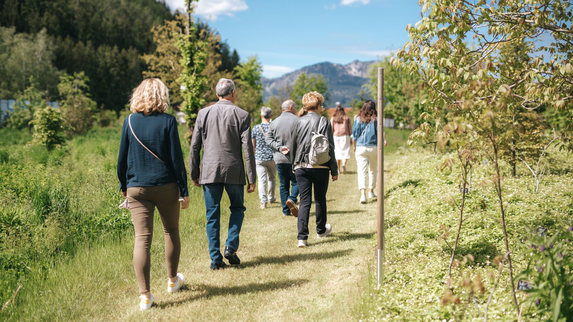 Gruppe spaziert gemeinsam durch Landschaft bei geführtem Rundgang