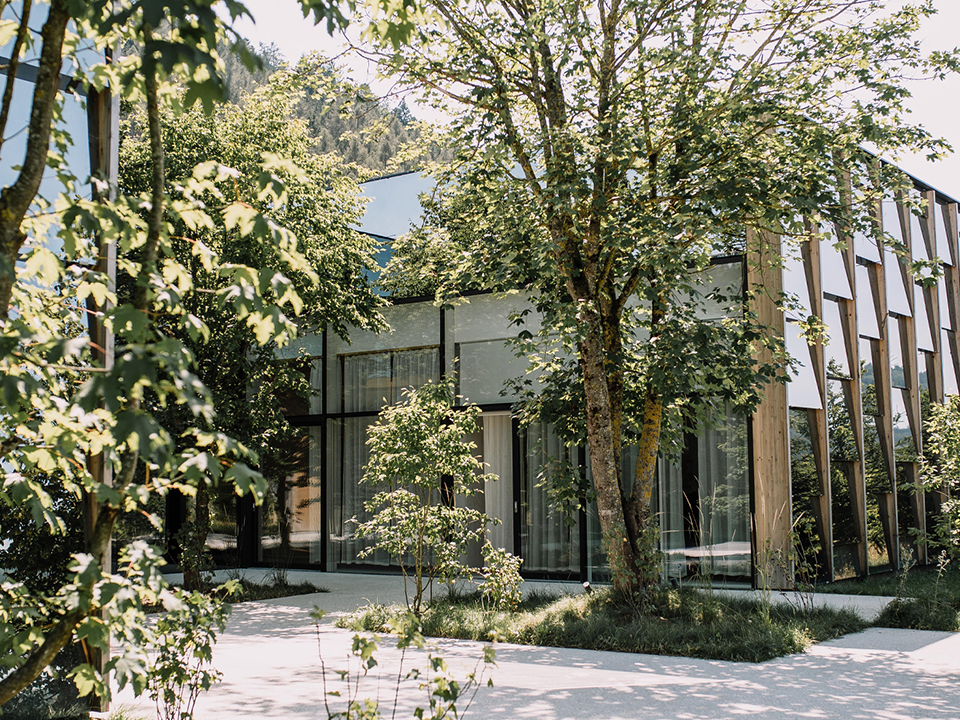 Bäume und Sträucher stehen vor der Grüne Erde Welt