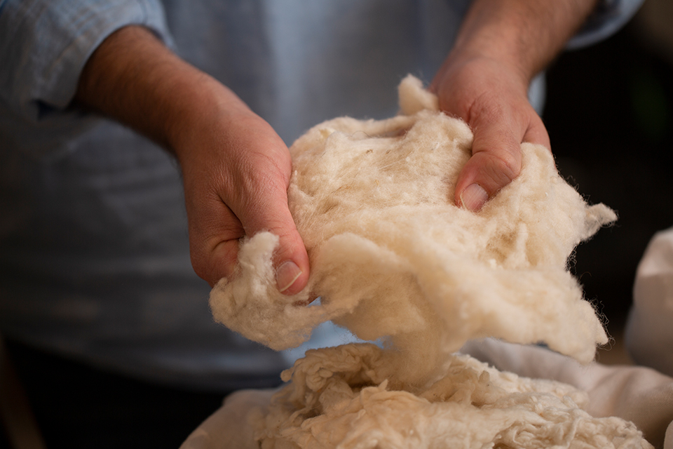 Material Wolle in Händen gehalten