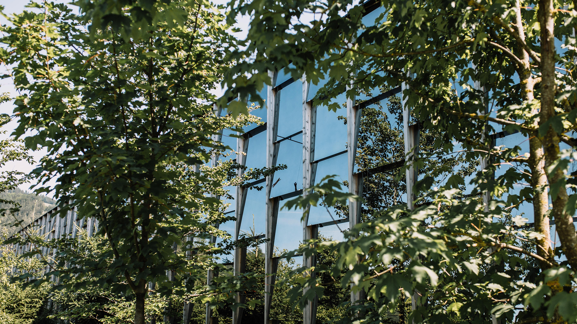 Grüne Erde-Welt Fassade