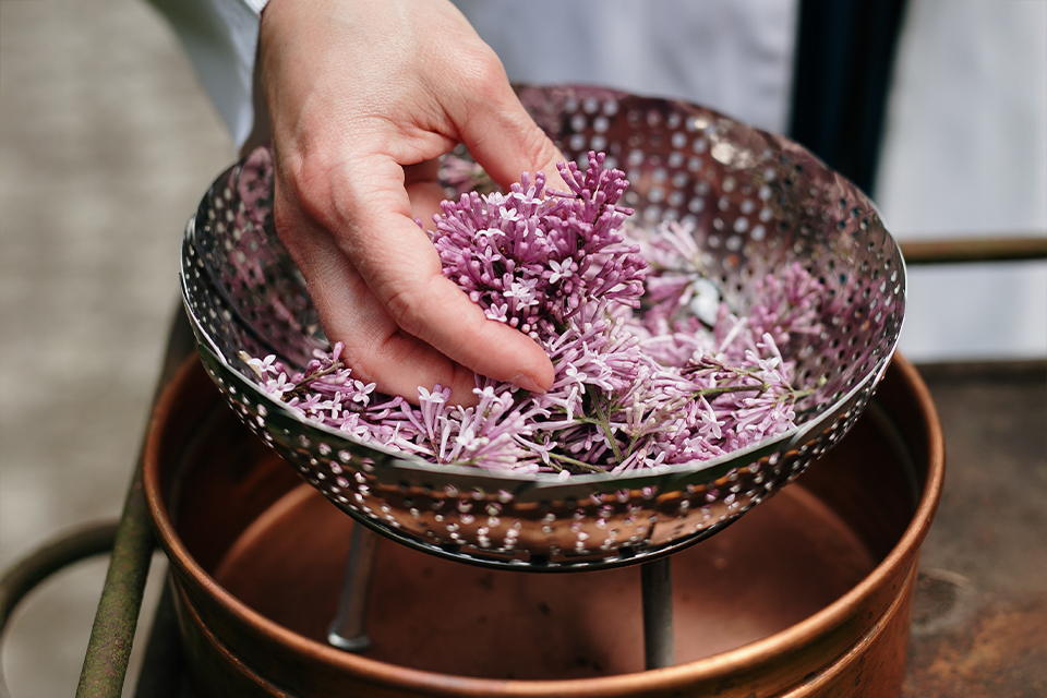 Schüssel aus Metall gefüllt mit Blüten