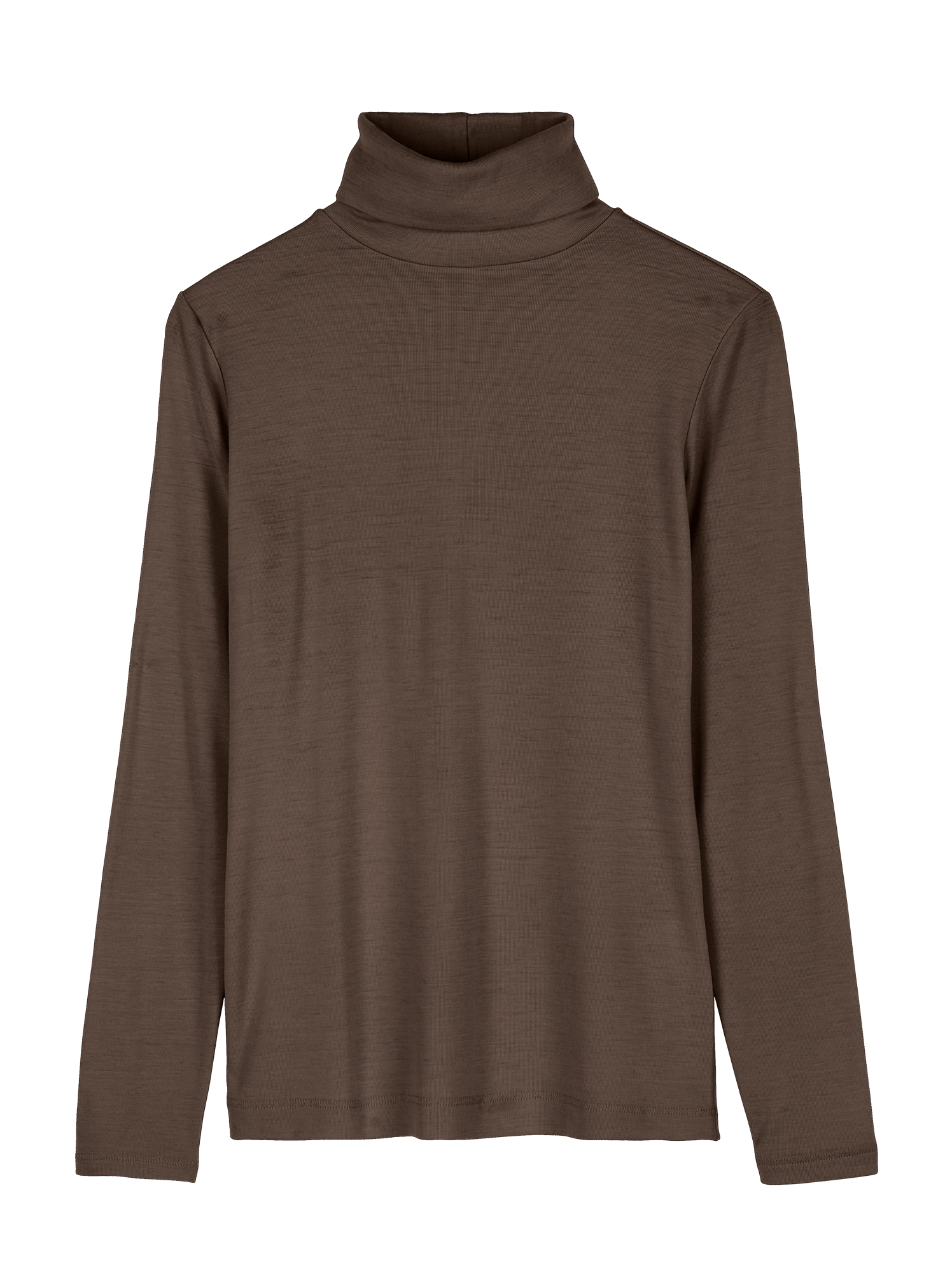 Rollkragenshirt aus Bio Wolle