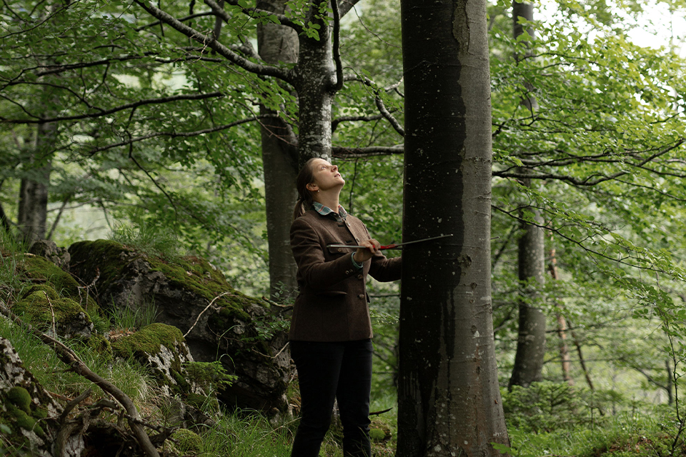 Försterin beim vermessen eines Baumes im Wald