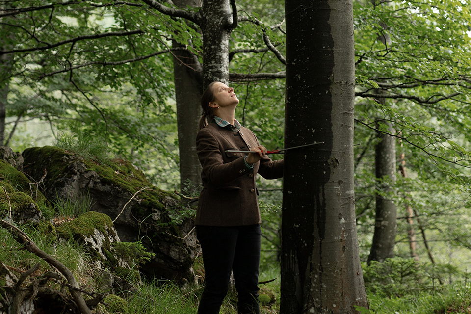 Försterin beim vermessen eines Baumes im Wald