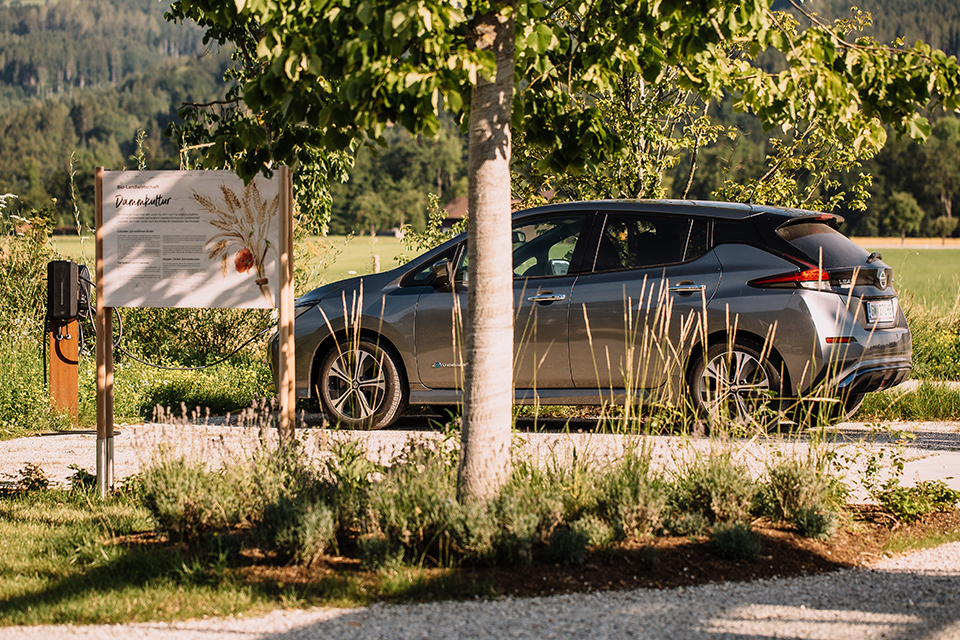 Elektroauto lädt an Station vor Wiese und Bäumen im Grünen