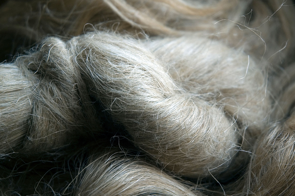 Lammhaar in einen Knoten zusammen gewickelt