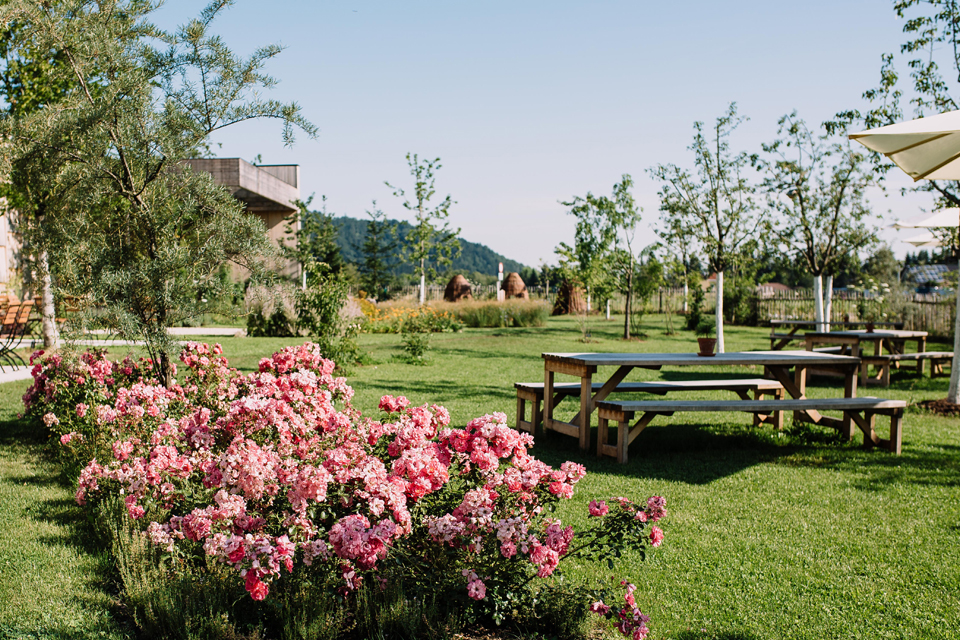 Garten mit blühenden Rosen und Sitzbänken in gepflegter Grünanlage