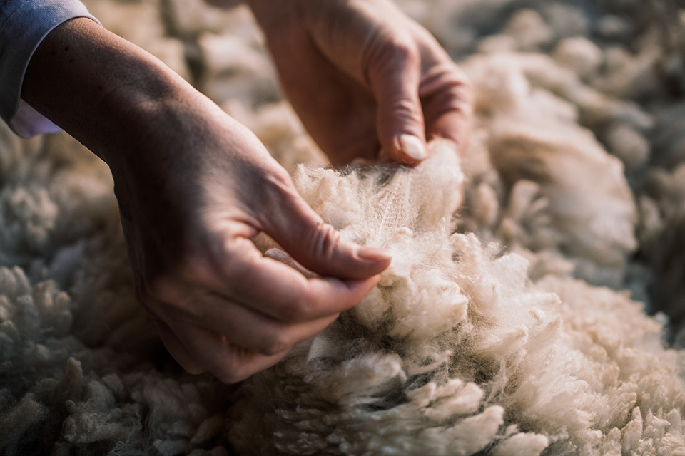 Hände ziehen Alpakawolle auseinander