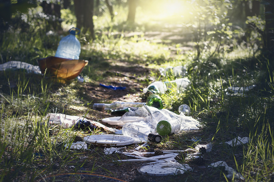Plastikmüll liegt am Waldboden