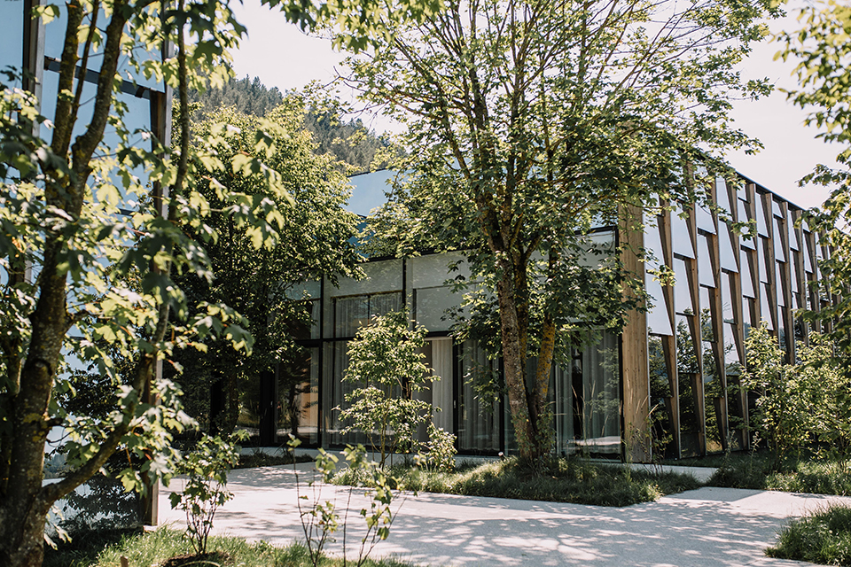 Eingangsbereich der Grünen Erde Welt mit Bäumen