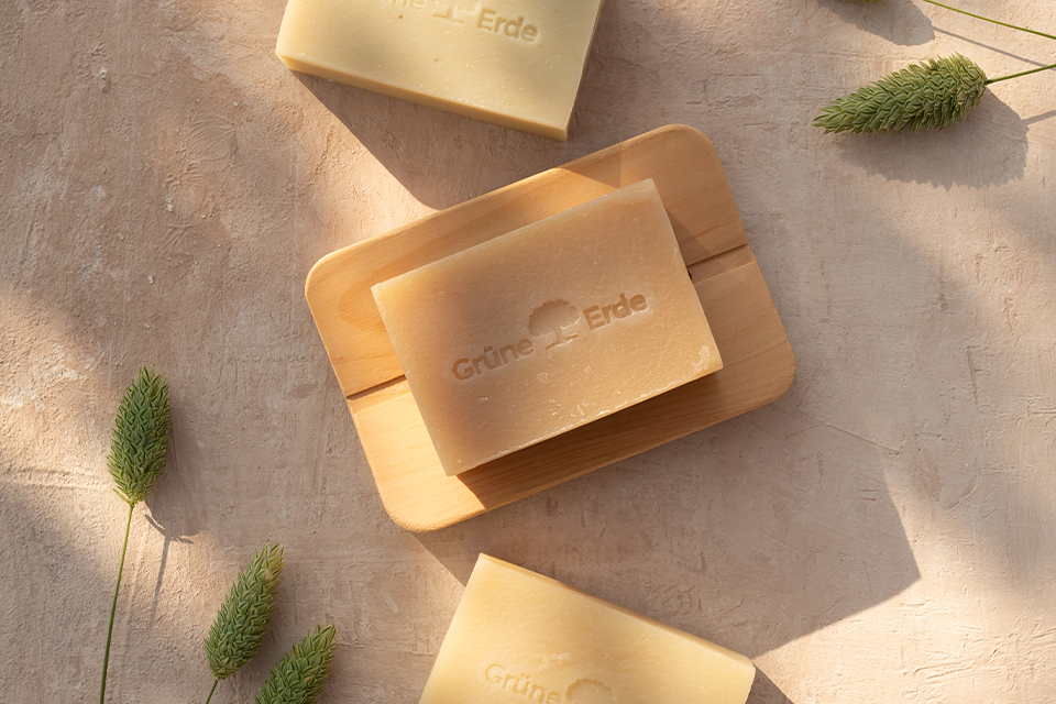 Drei feste Duschgels und zwei dekorative Pflanzen