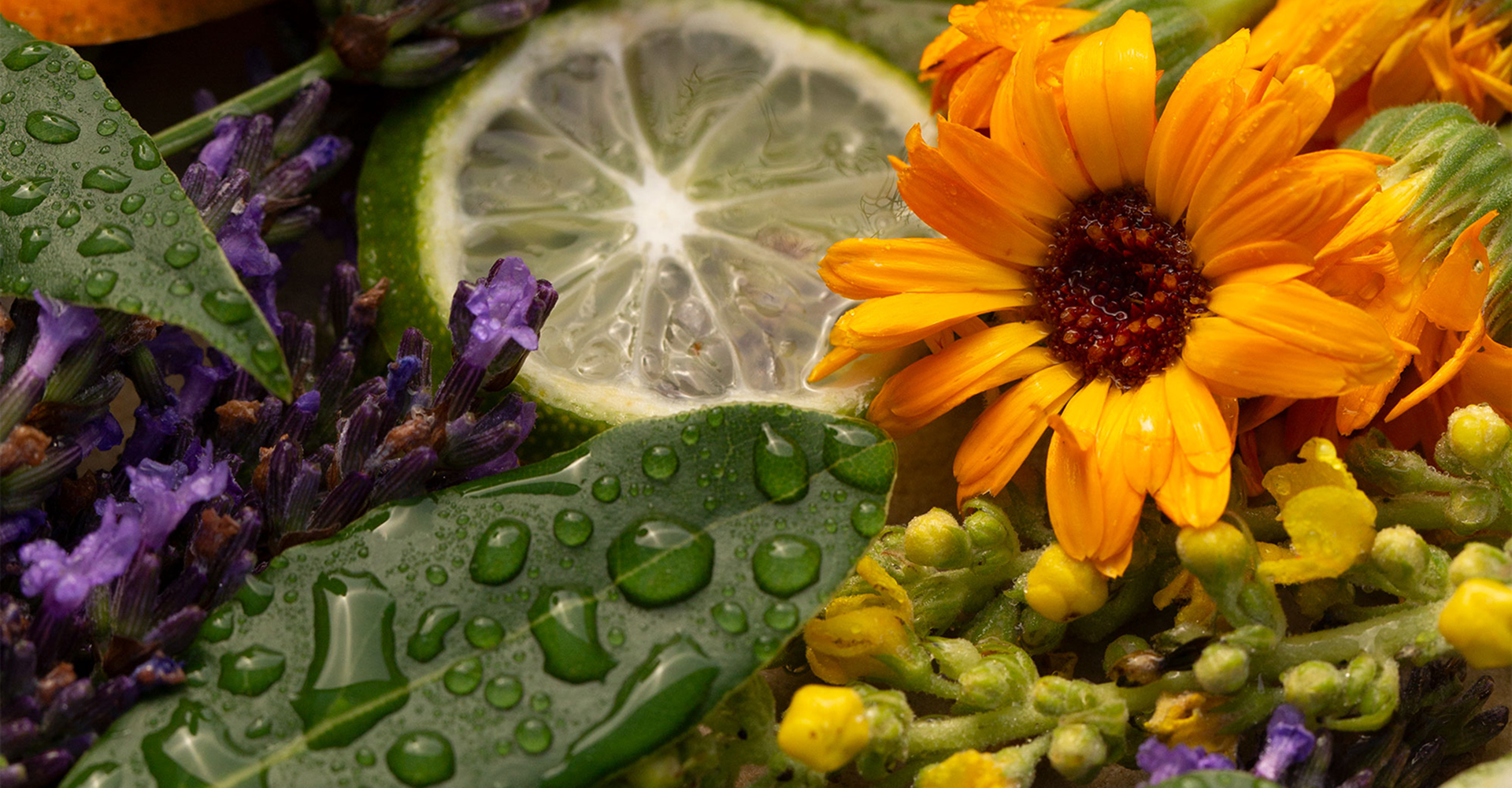 Duftende Blumen und Limettenscheiben