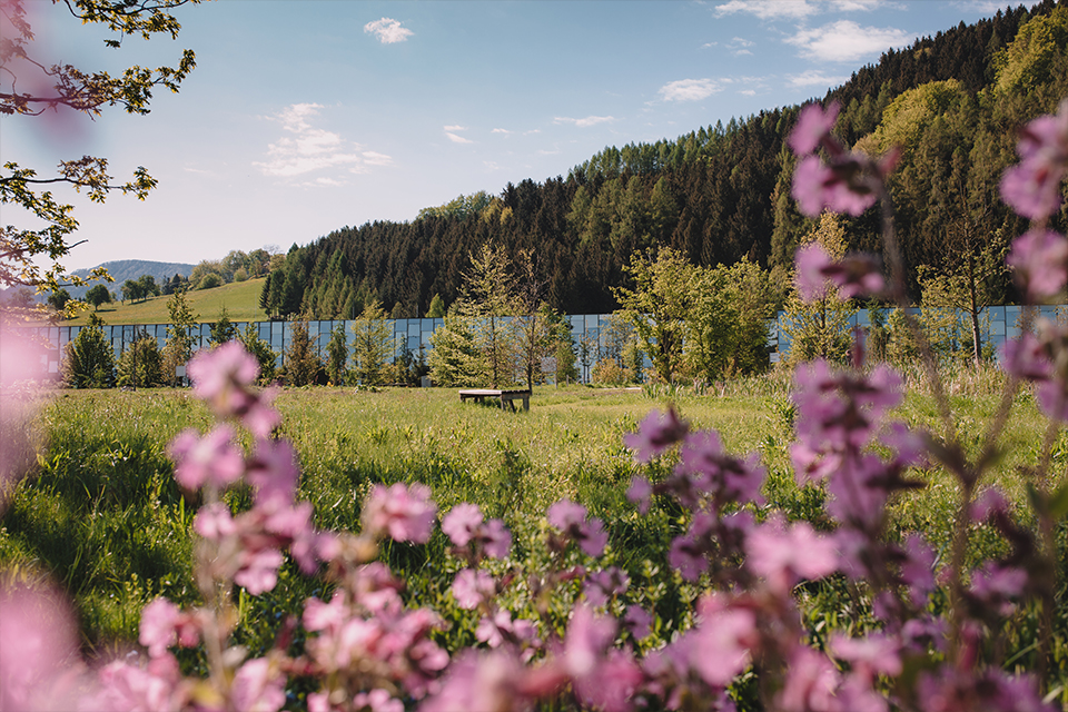 Die Grüne Erde Welt versteckt in der Natur