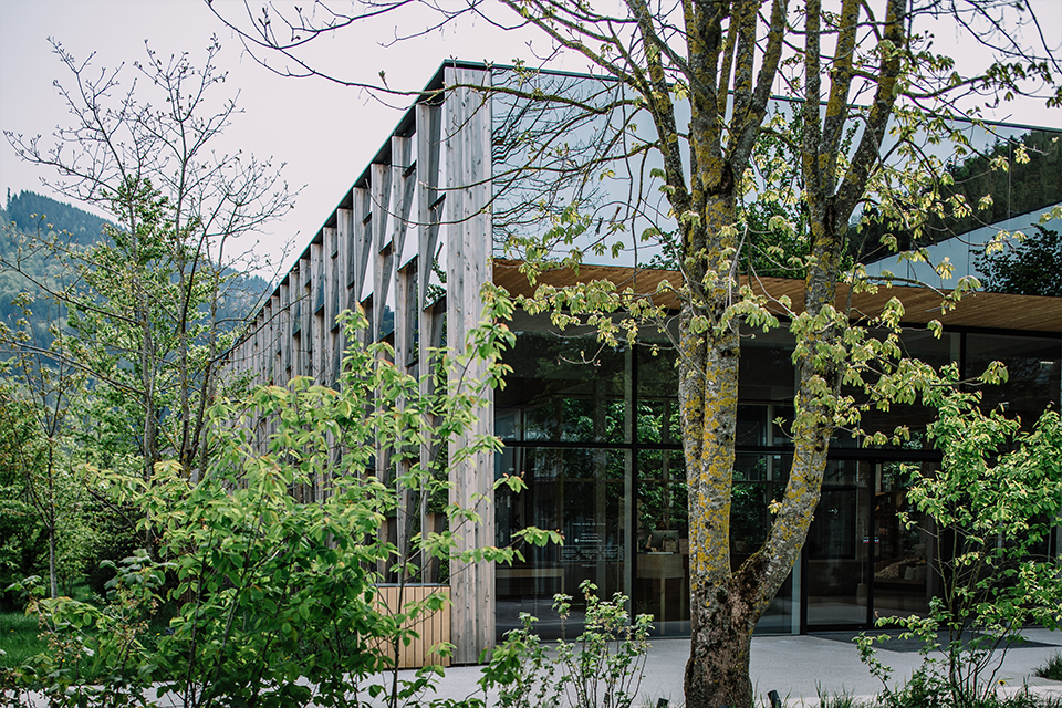 Grüne Erde Welt Eingangsbereich von Bäumen verdeckt