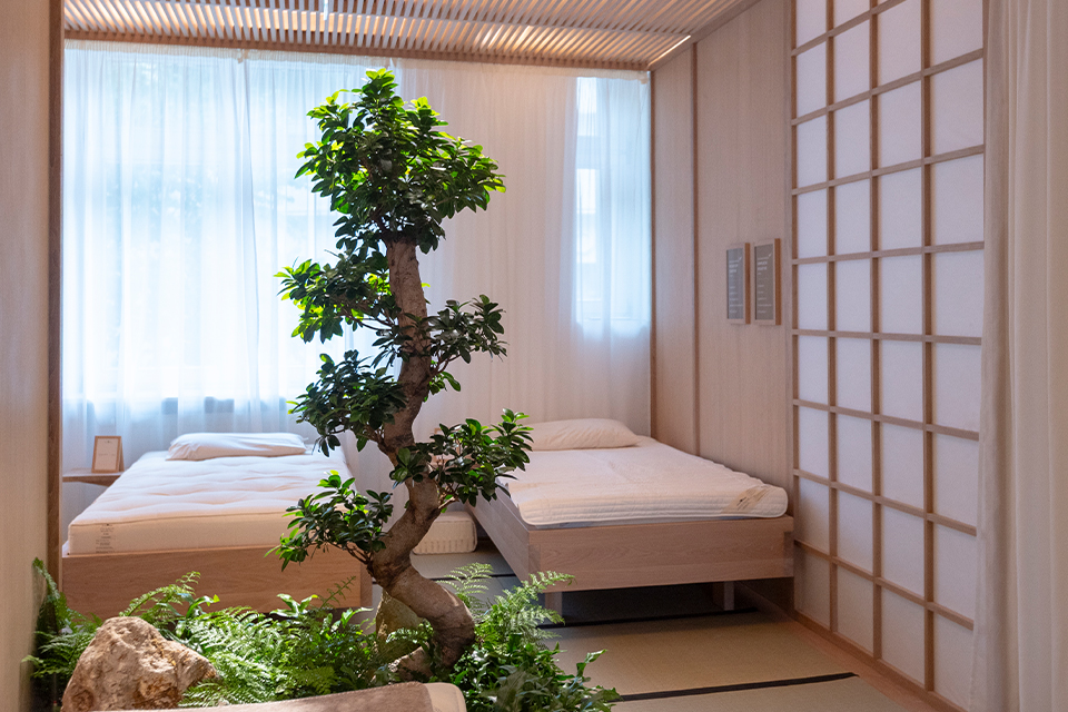 Schlafzimmer mit Bonsaibaum im Store Köln