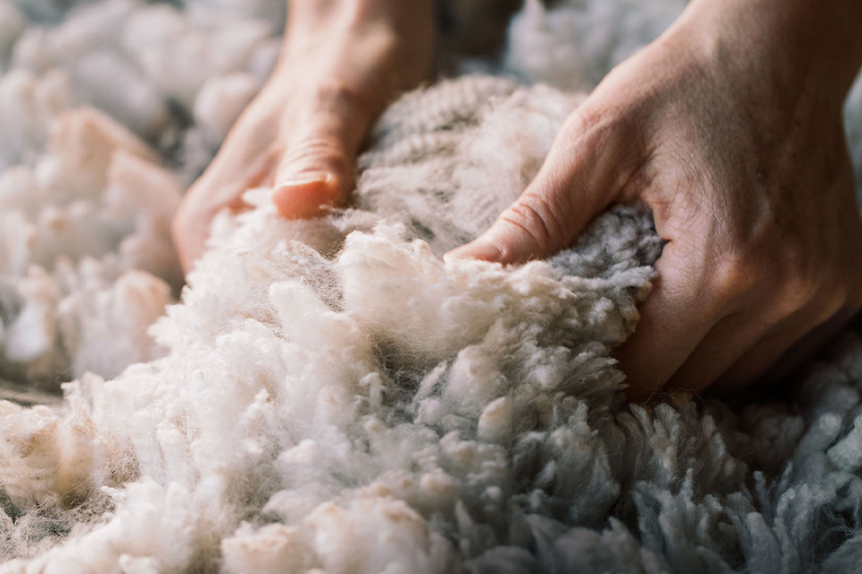 Hände ziehen Alpakawolle auseinandeer