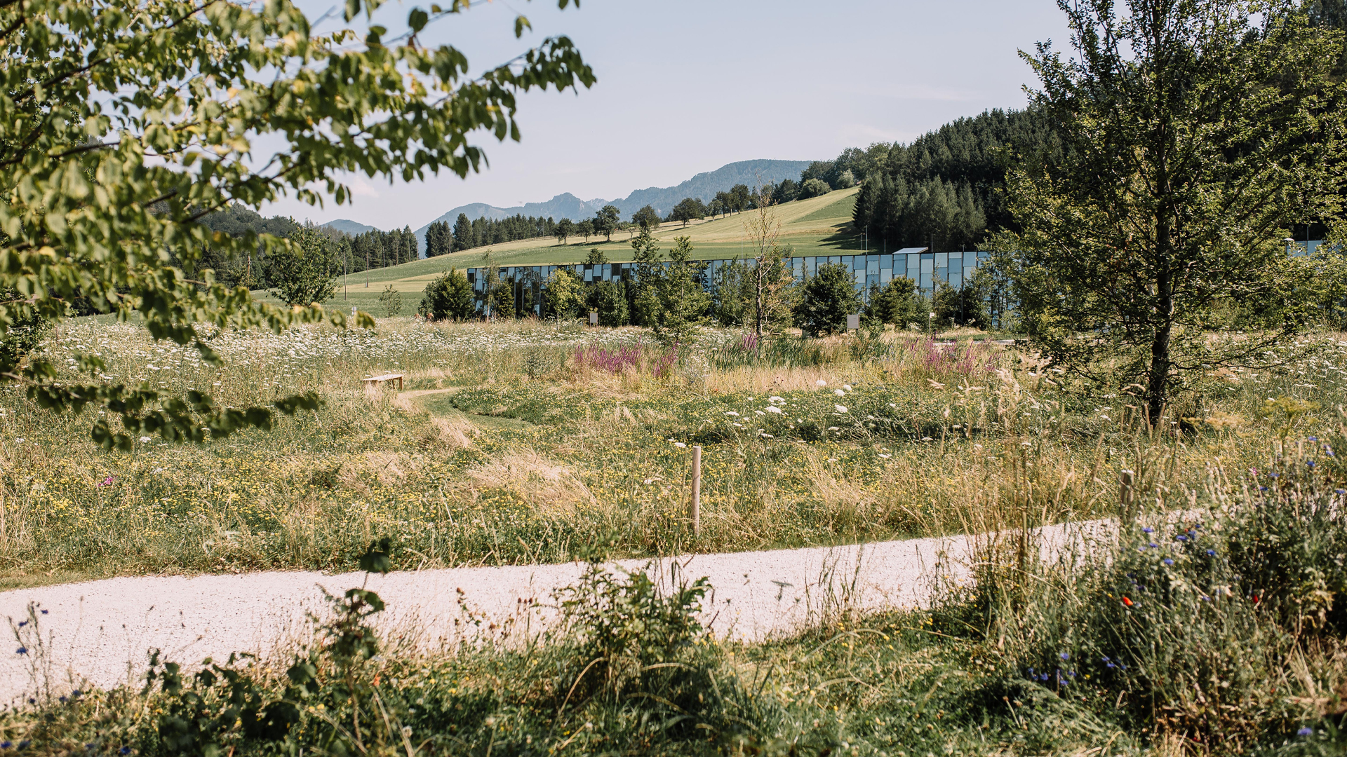 Der Weg vom Parkplatz zu der Grünen Erde Welt