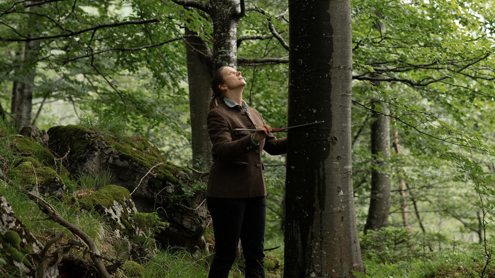 Försterin begutachtet Baum im Wald