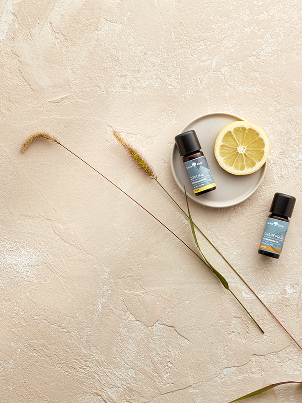 Zutaten und ätherische Öle für erfrischendes Körperpuder dekorativ angeordnet