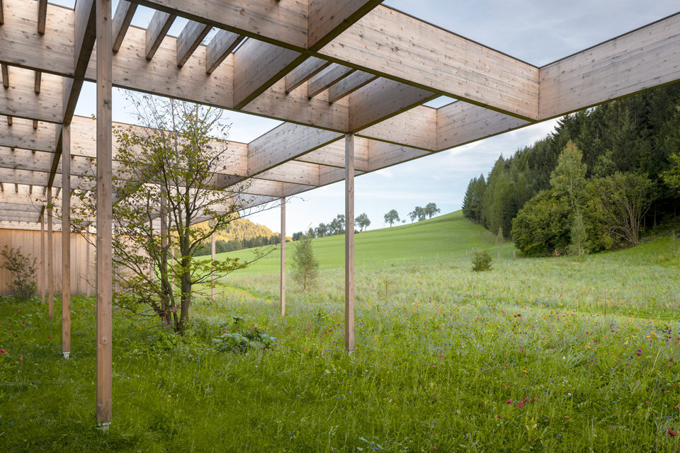 Überdachte Holzstruktur im Freien mit Blick auf Wiese und Hügel