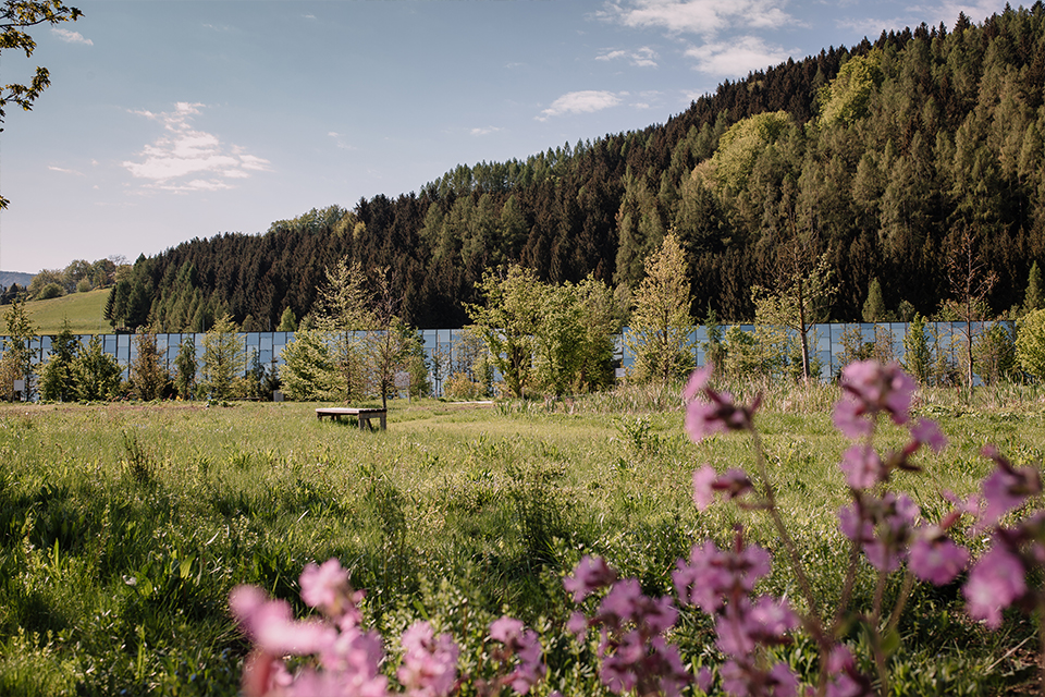 Berglandschaft mit Blumenwiese und klarem Himmel