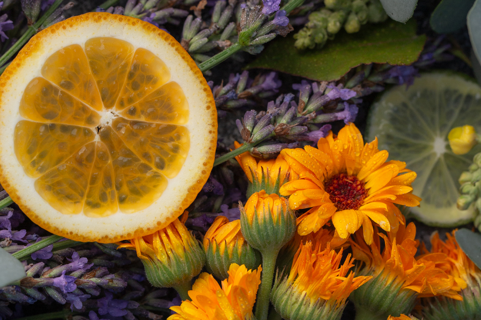 Zitrusfrüchte und Blüten als Aromatheraphie