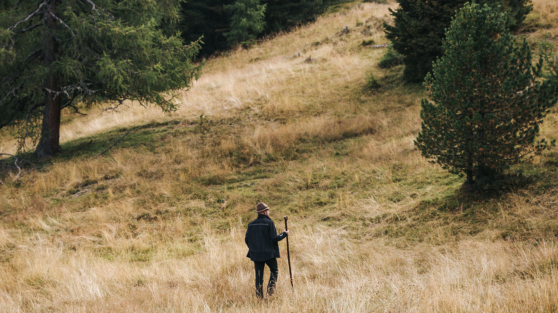 Försterin wandert durch ihr Forstgebiet