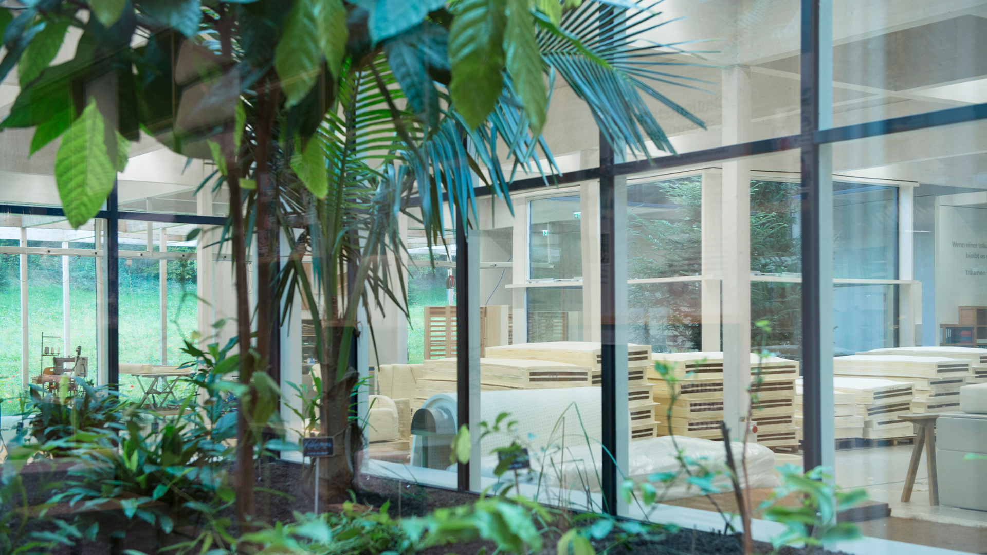 Innenhof mit Bäumen und Pflanzen