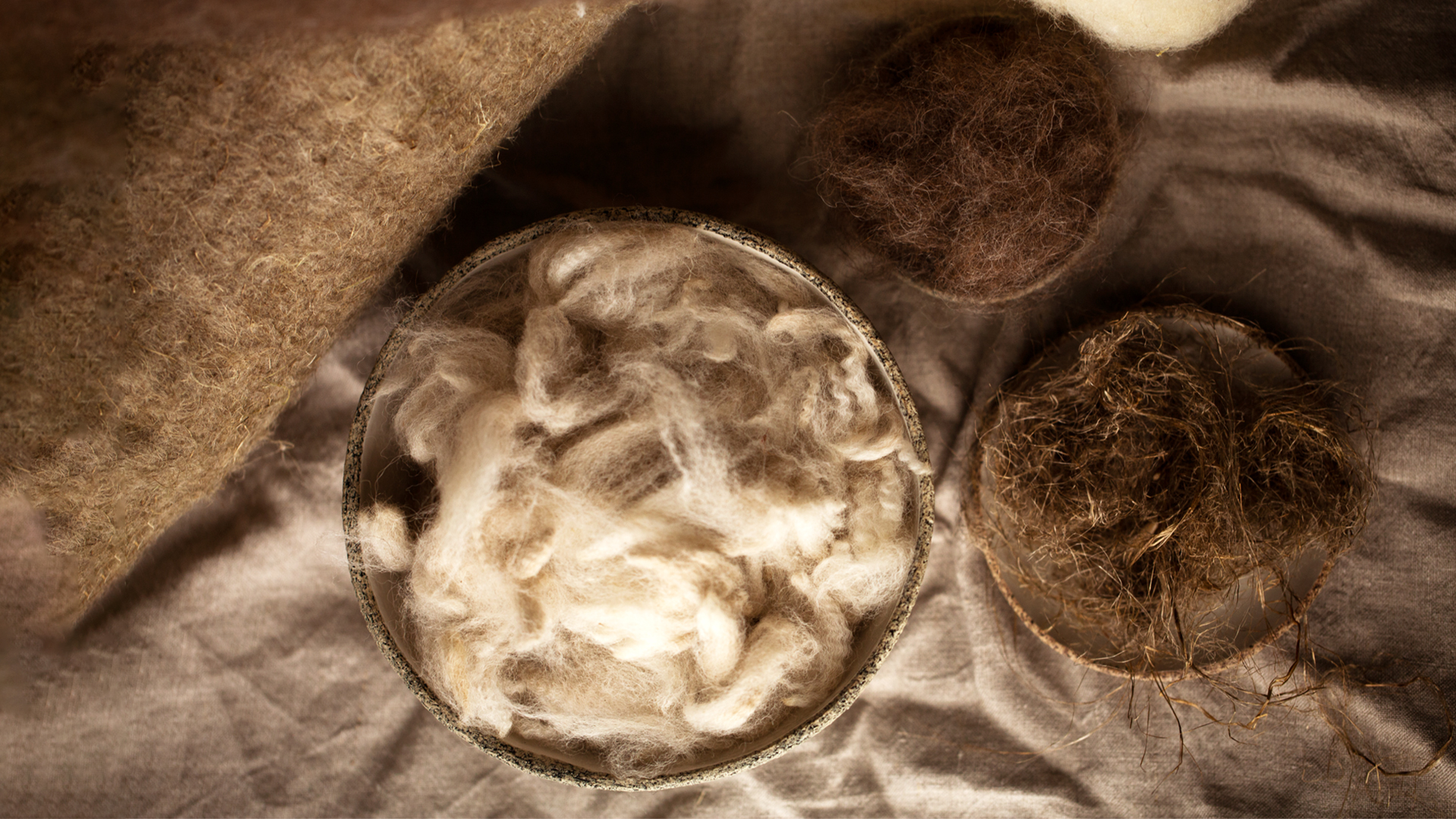 Verschiedene Naturmaterialien in Schüsseln präsentiert