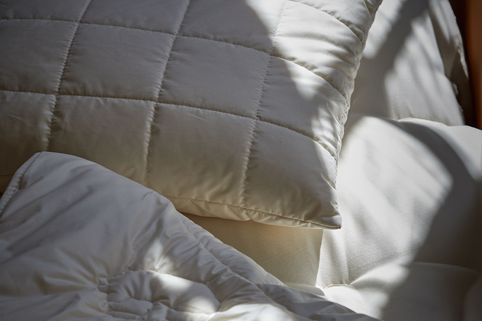 Ökologische Kopfkissen und Schlafdecken