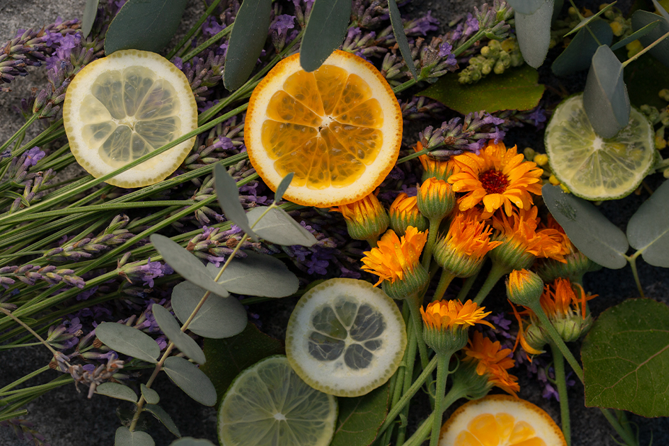 Zitrusfrüchte und Blüten als Aromatheraphie