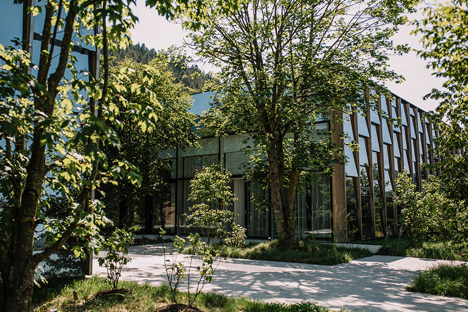 Moderne Architektur im Grünen mit Bäumen und nachhaltigem Design