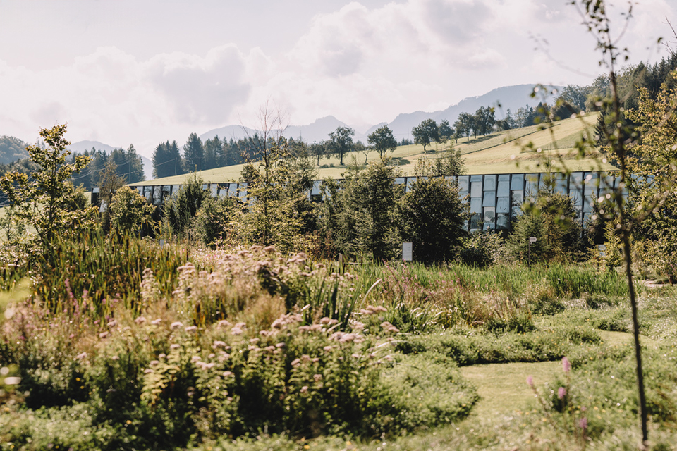 Weite Landschaft mit Wiesen Bäumen und sanften Hügeln