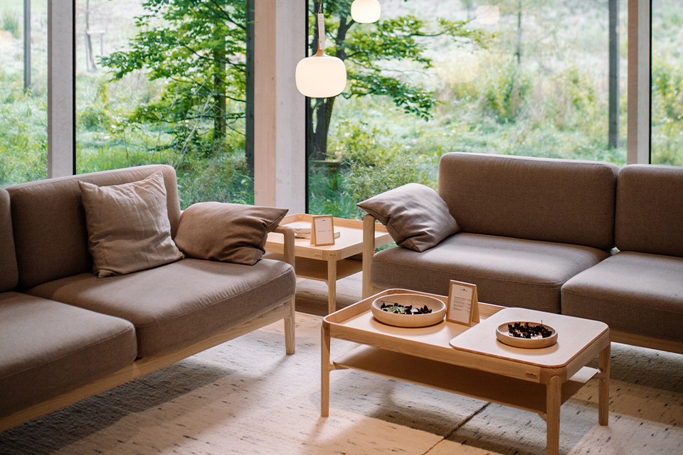 Gemütlicher Wohnbereich mit Sofa und Blick ins Grüne