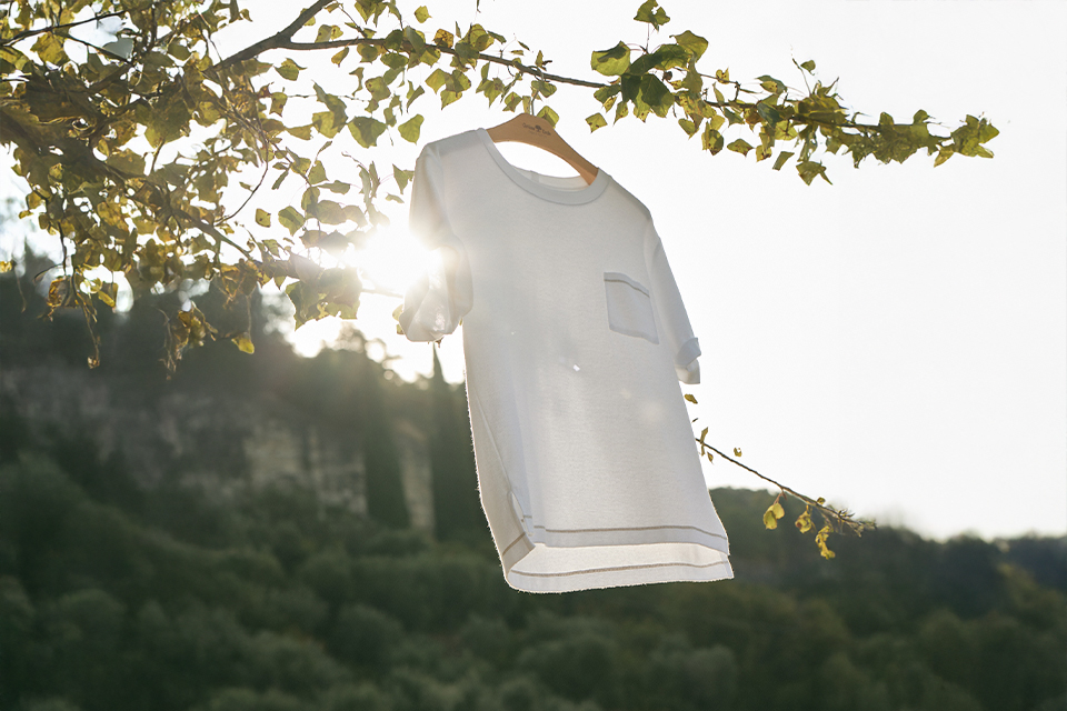 Weißes T-Shirt hängt im Sonnenlicht an einem Baum
