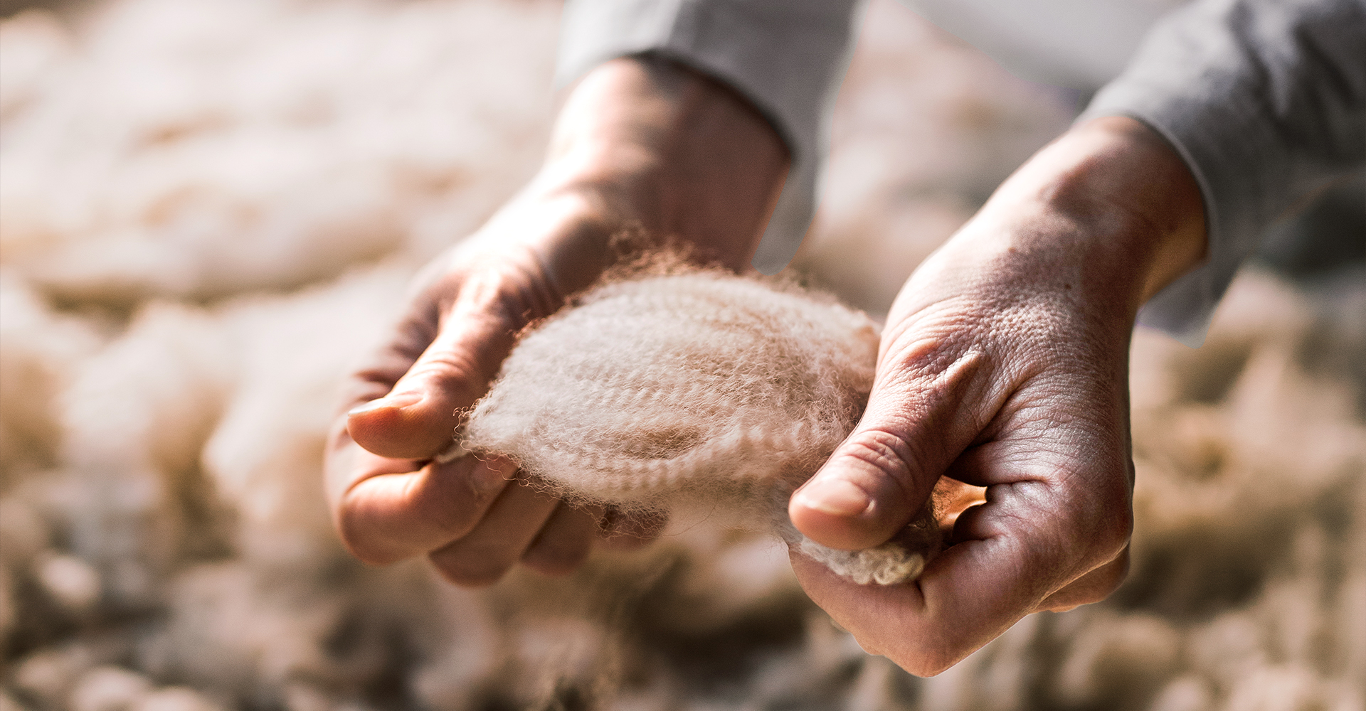 Hände halten Alpakawolle