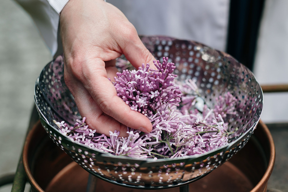 violette Blüten werden aus einer Schale entnommen