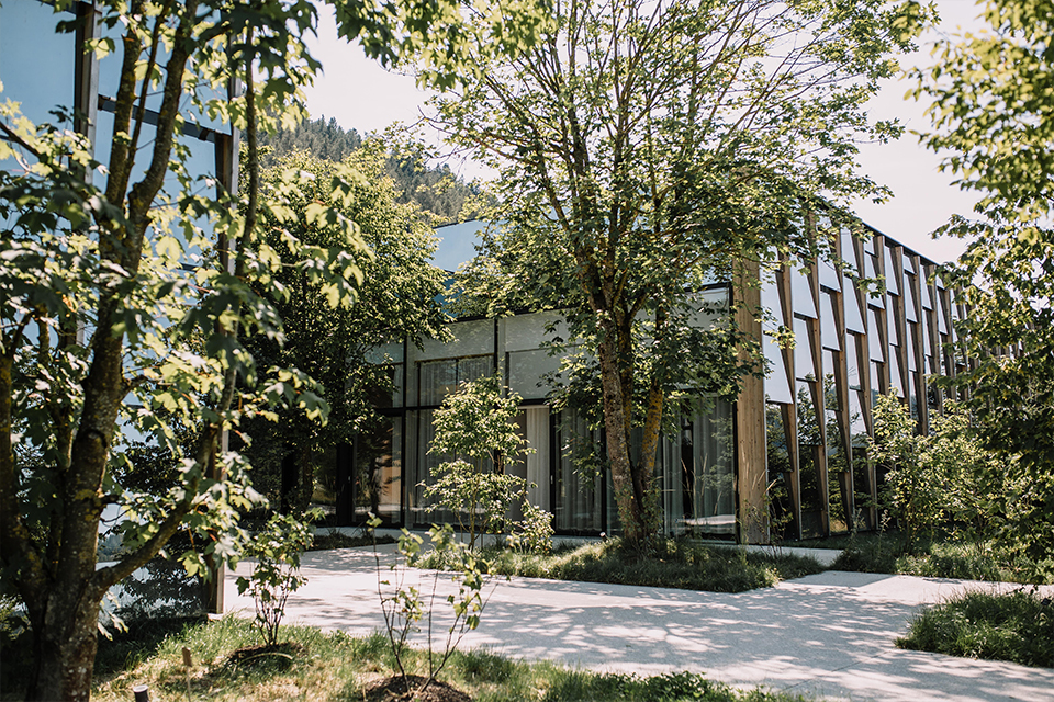 Eingangsbereich der Grüne Erde Welt mit Bäumen und Wiesen