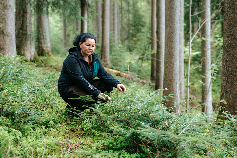 Försterin Sabine Jungwirth  im Wald