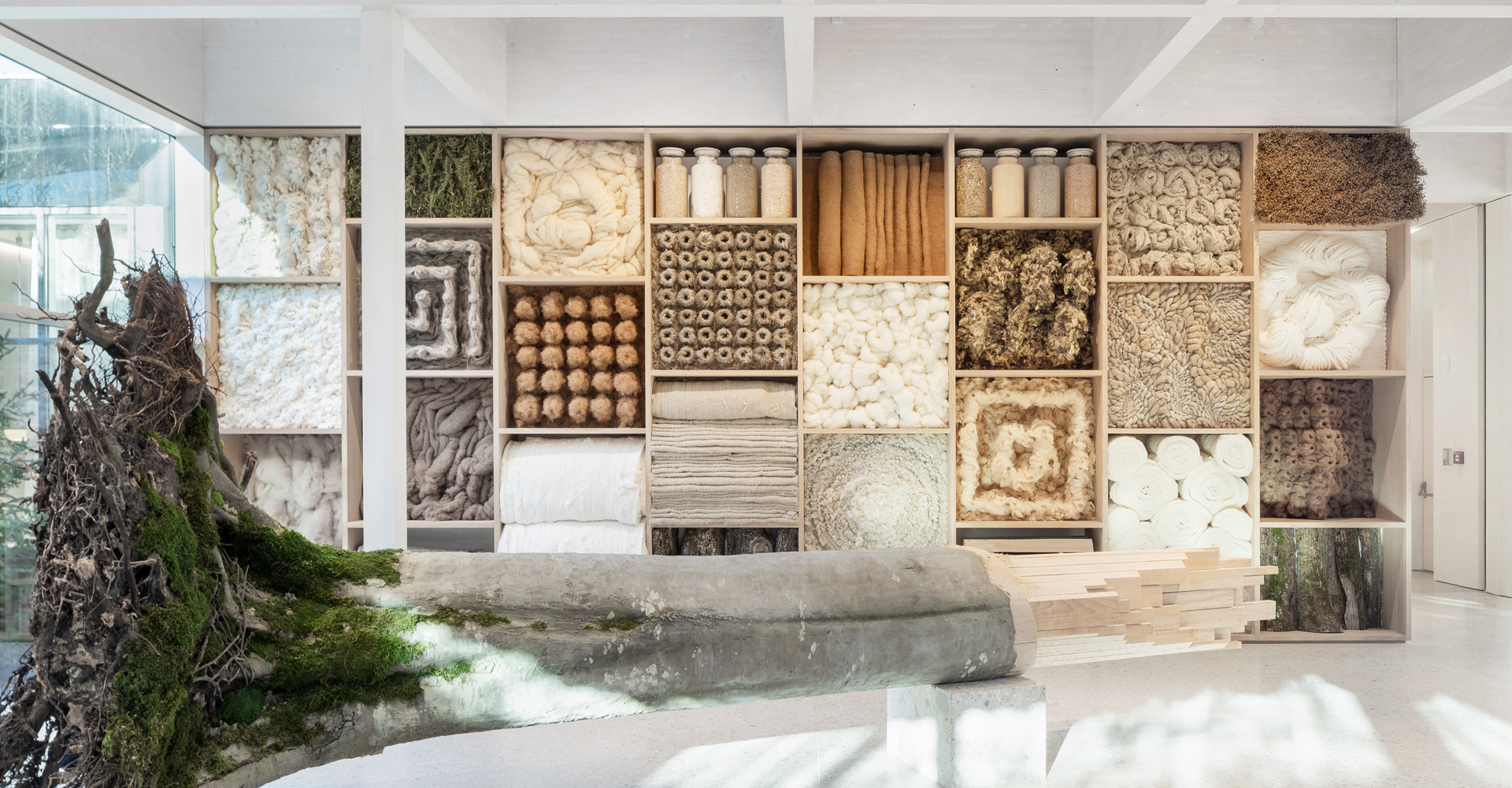 Baum liegt in großem Raum vor einer Wand mit Materialien