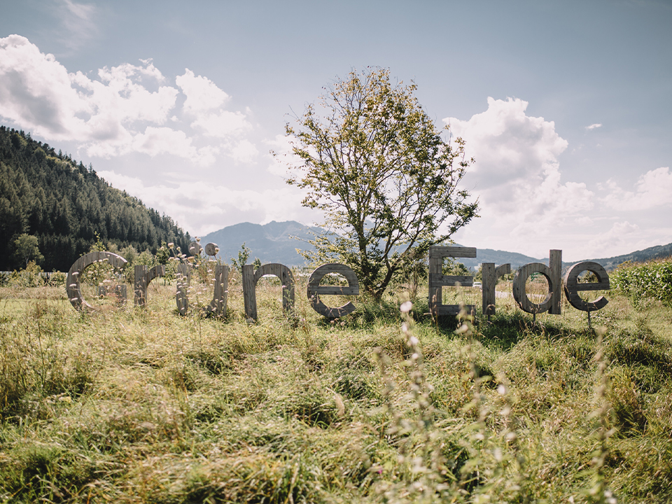 Grüne Erde Logo als große Holzbuchstaben auf einer Wiese mit Bergen im Hintergrund